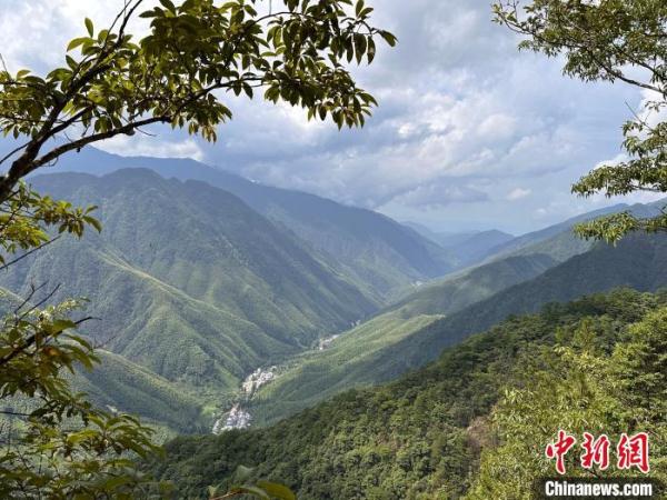 武夷山国家公园探秘:坚持生态保护第一 武夷山国家公园探秘:坚持生态保护第一