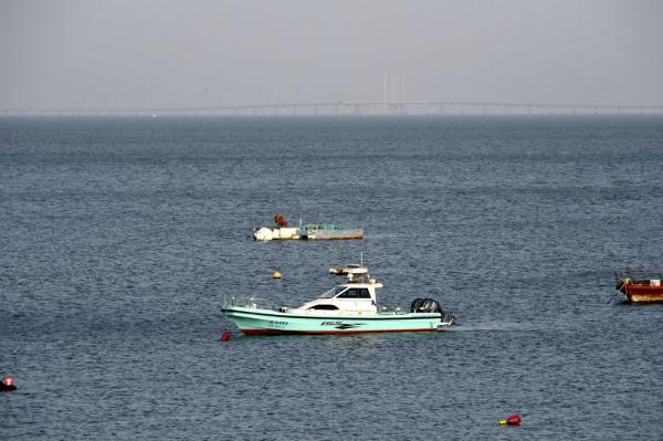 胶州湾海洋生态环境“体检结果”持续向好 胶州湾海洋生态环境“体检结果”持续向好