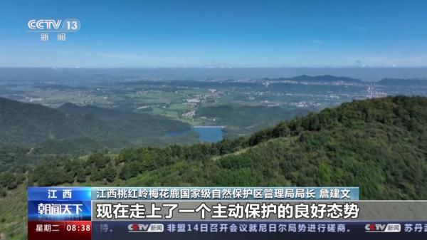 “自然精灵”频现!揭秘江西专属保护计划 “自然精灵”频现!揭秘江西专属保护计划