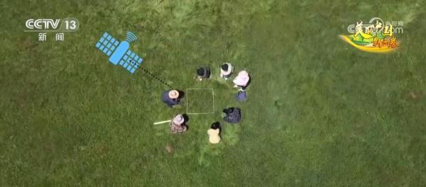 草色青青“本土芯” 生态环境改善让“草原明珠”更璀璨 草色青青“本土芯” 生态环境改善让“草原明珠”更璀璨