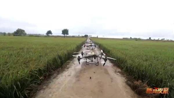 洪水退去后，无人机洒药全面消杀！