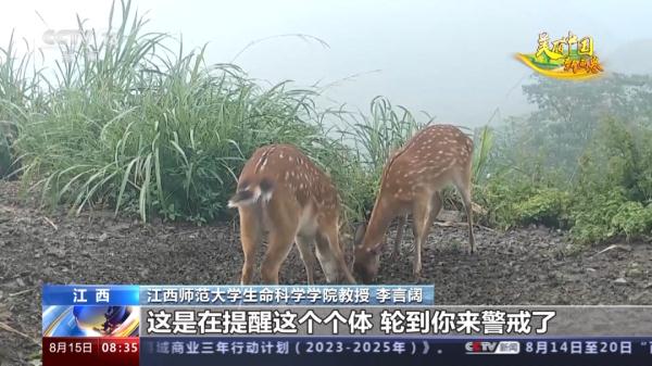 “自然精灵”频现!揭秘江西专属保护计划 “自然精灵”频现!揭秘江西专属保护计划