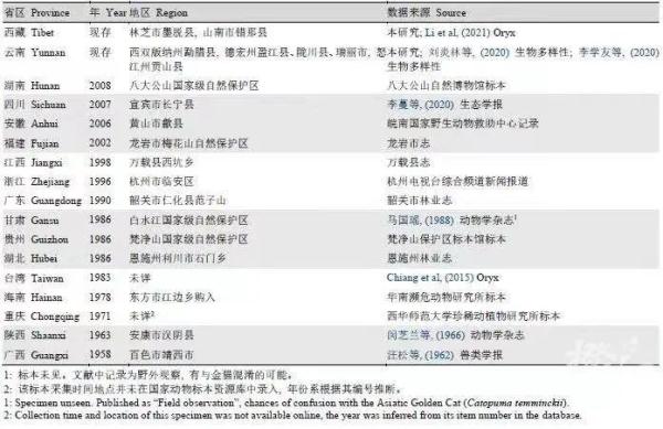 游客称在黄山拍到神秘黄色动物！云豹？橘猫？最新回应来了