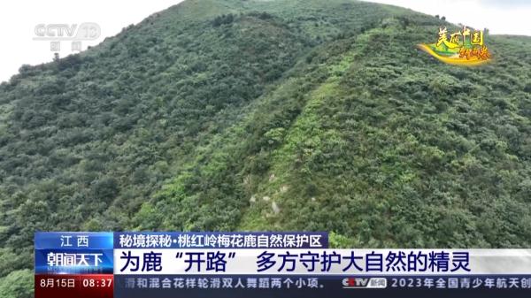 “自然精灵”频现!揭秘江西专属保护计划 “自然精灵”频现!揭秘江西专属保护计划