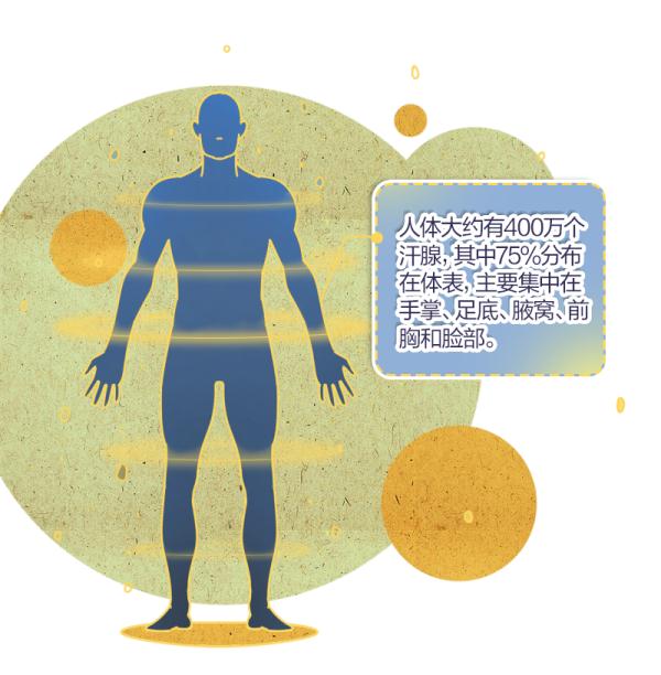 出汗＝排毒养颜？这些情况要注意！