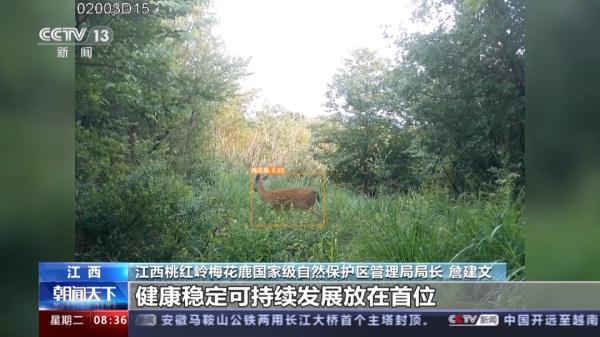 “自然精灵”频现!揭秘江西专属保护计划 “自然精灵”频现!揭秘江西专属保护计划