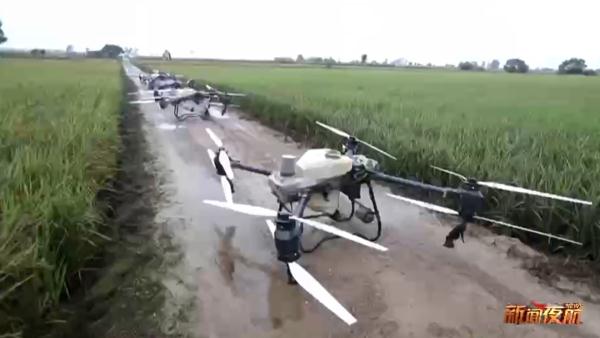 洪水退去后，无人机洒药全面消杀！