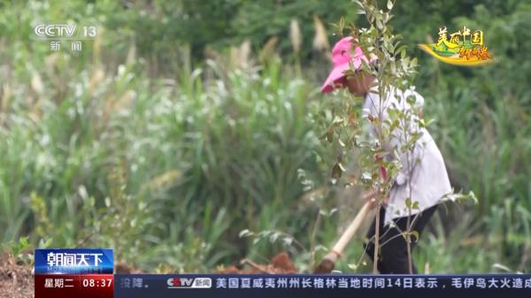 “自然精灵”频现!揭秘江西专属保护计划 “自然精灵”频现!揭秘江西专属保护计划