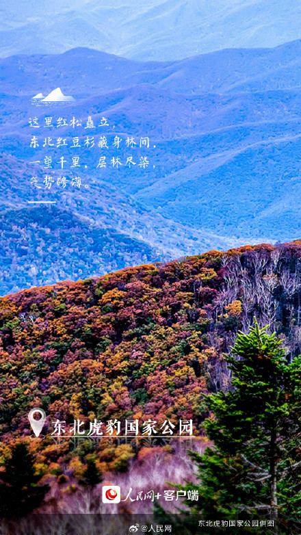 这里是中国的国家公园