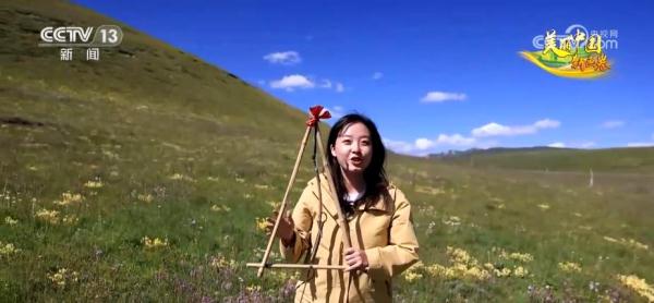 草色青青“本土芯” 生态环境改善让“草原明珠”更璀璨 草色青青“本土芯” 生态环境改善让“草原明珠”更璀璨