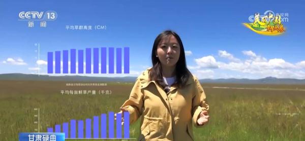 草色青青“本土芯” 生态环境改善让“草原明珠”更璀璨 草色青青“本土芯” 生态环境改善让“草原明珠”更璀璨