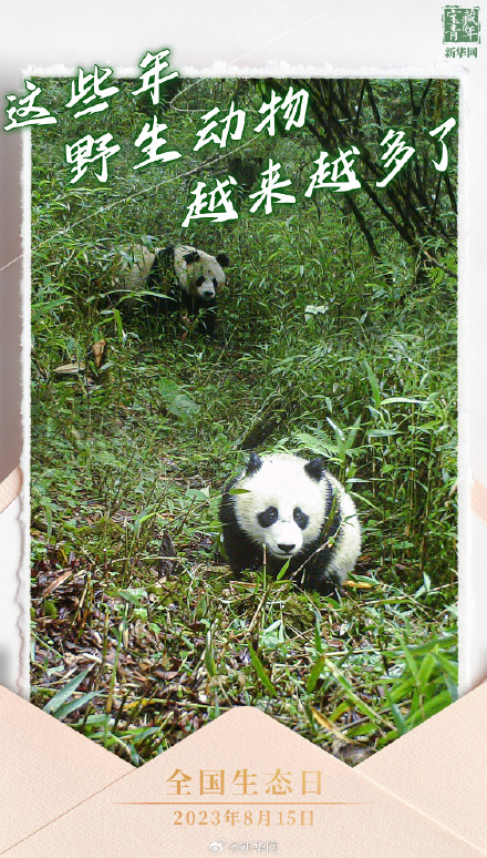 今天，我国迎来首个全国生态日！