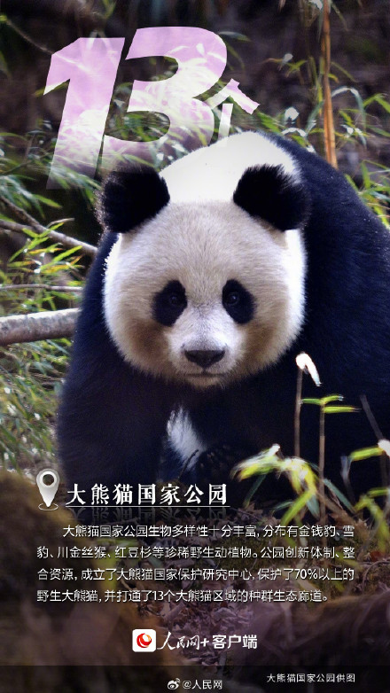 这里是中国的国家公园