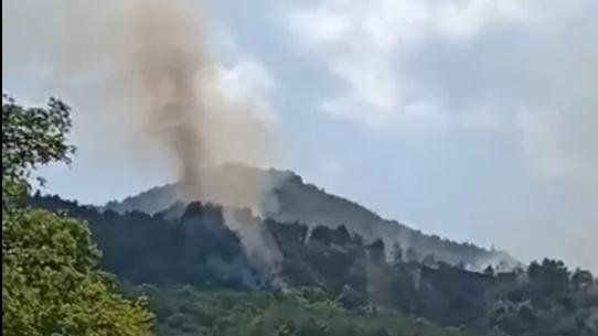 重庆沙坪坝突发山火！直升机参与救援，已扑灭，无人员伤亡