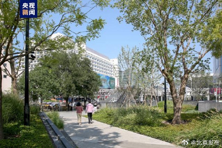 北京十年累计增绿相当于219个奥森公园 北京十年累计增绿相当于219个奥森公园
