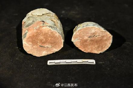 极为罕见！江西出土的恐龙胚胎蛋化石惊艳亮相