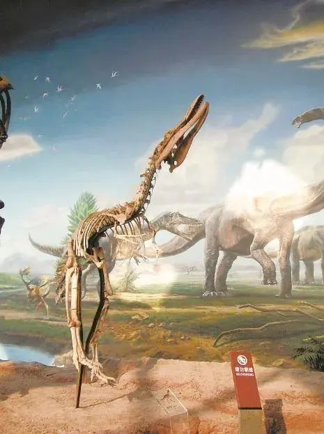 极为罕见！6500万年前的恐龙宝宝长这样