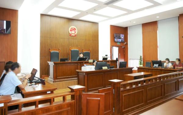 18岁聋哑妈妈将新生儿“送”人,11年后监护人该是谁?“无声”庭审一槌定音 18岁聋哑妈妈将新生儿“送”人,11年后监护人该是谁?“无声”庭审一槌定音