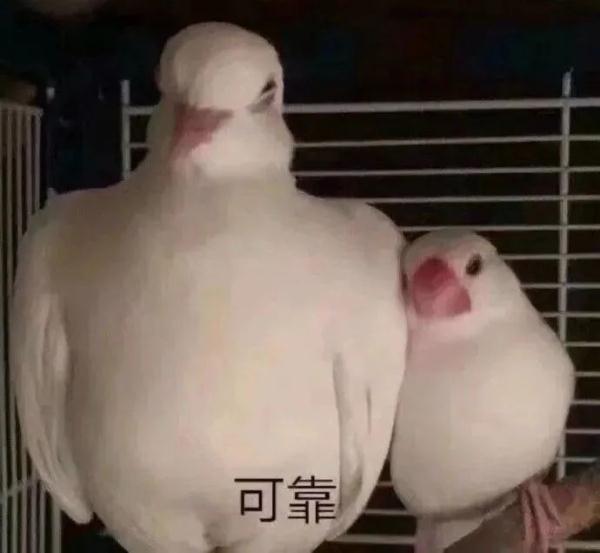 43岁女子化身榜一大哥，骗女主播66万