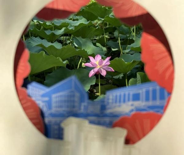 河北各高校录取通知书大盘点！你喜欢哪一款？