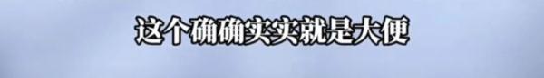 上海一泳池惊现大便，工作人员捞出粪便后竟……网友炸了
