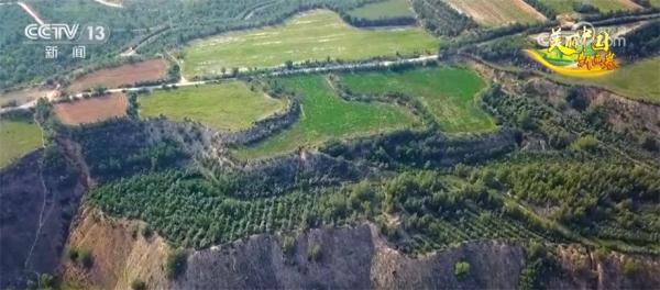 黑色煤田变绿色林海 “生态管家”志在青山绿水间 黑色煤田变绿色林海 “生态管家”志在青山绿水间