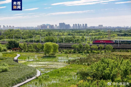 北京十年累计增绿相当于219个奥森公园 北京十年累计增绿相当于219个奥森公园