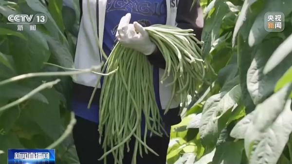 《2023年物流企业营商环境调查报告》发布 七成物流企业评价满意 《2023年物流企业营商环境调查报告》发布 七成物流企业评价满意