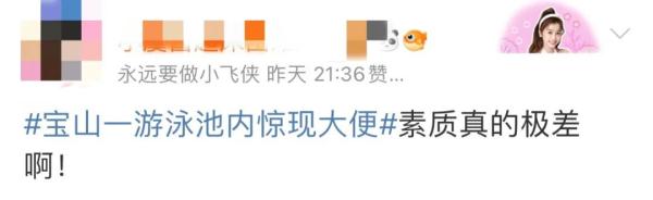 上海一泳池惊现大便，工作人员捞出粪便后竟……网友炸了