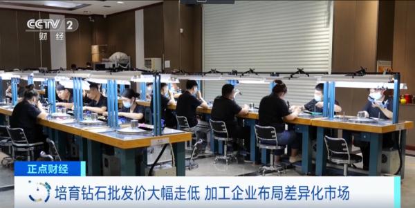 便宜了!价格大跌超50%! 便宜了!价格大跌超50%!