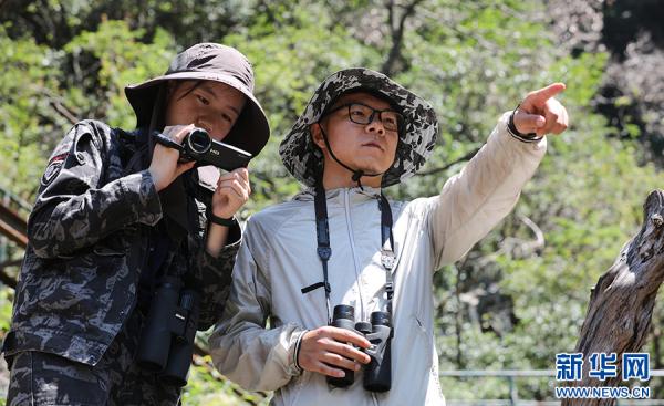 黄山短尾猴有了“家谱” 黄山短尾猴有了“家谱”