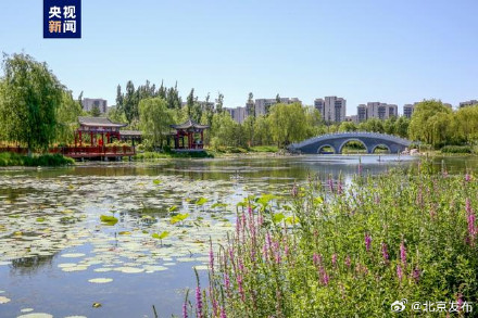 北京十年累计增绿相当于219个奥森公园 北京十年累计增绿相当于219个奥森公园