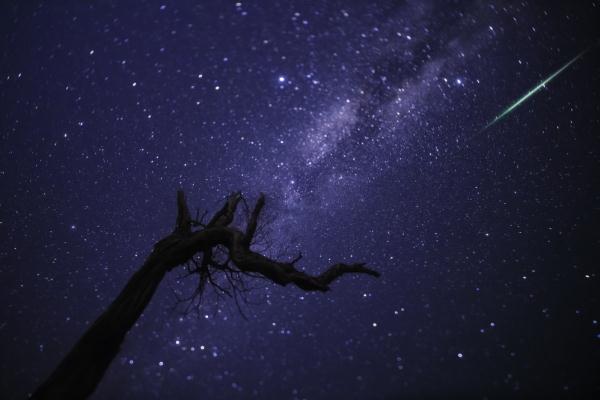 看!英仙座流星雨绝美瞬间 看!英仙座流星雨绝美瞬间