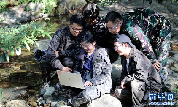 黄山短尾猴有了“家谱” 黄山短尾猴有了“家谱”