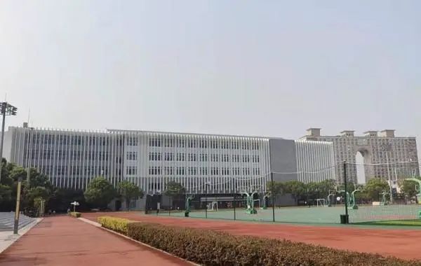 上海一泳池惊现大便，工作人员捞出粪便后竟……网友炸了
