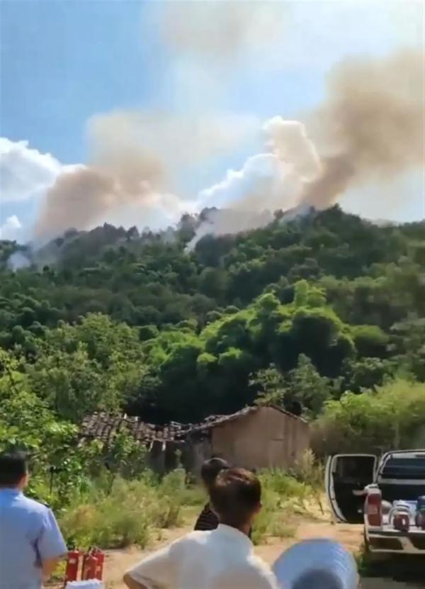 重庆沙坪坝突发山火！直升机参与救援，已扑灭，无人员伤亡