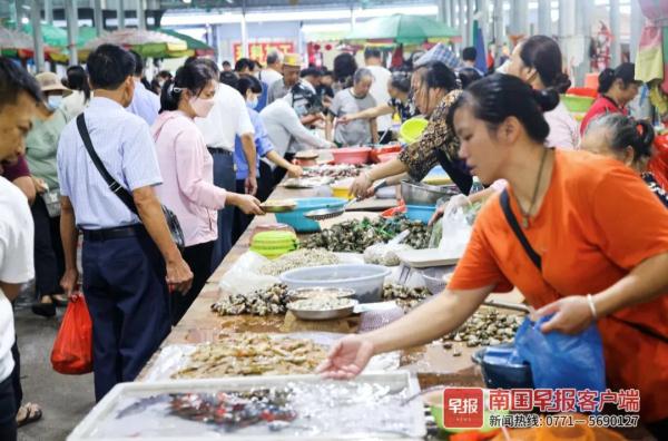 多图直击！广西开海第一波海鲜上岸，价格美丽有的直接腰斩