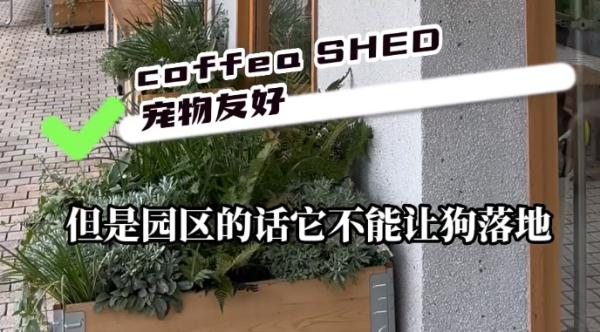 宠物狗不能“落地”但能推着走?上海这一园区新规引争议,工作人员称为保护古建筑 宠物狗不能“落地”但能推着走?上海这一园区新规引争议,工作人员称为保护古建筑