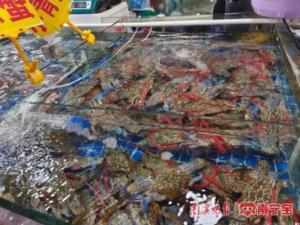 @南宁人，广西迎来开海季，一大拨“平靓正”海鲜正在路上