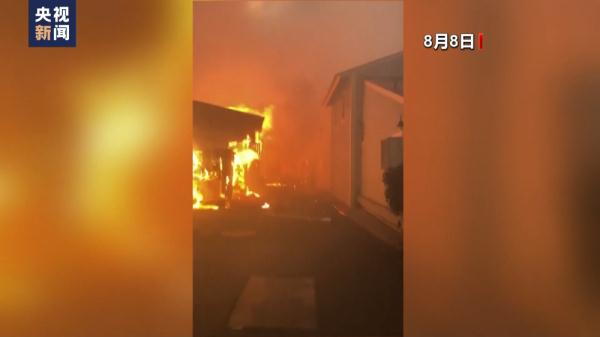 死亡人数升至106人 夏威夷毛伊岛大火何以至此? 死亡人数升至106人 夏威夷毛伊岛大火何以至此?