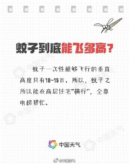 为什么被蚊子叮了会痒?关于蚊子的11个冷知识来啦 为什么被蚊子叮了会痒?关于蚊子的11个冷知识来啦