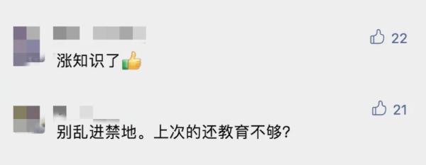 游客头发突然竖起变“海胆”？！竟然这么危险……