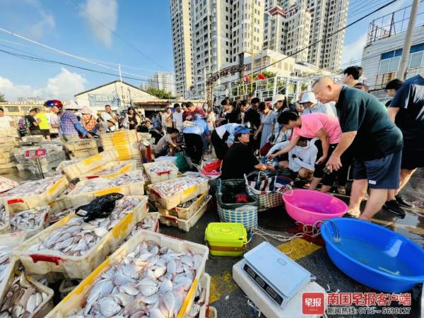 多图直击！广西开海第一波海鲜上岸，价格美丽有的直接腰斩