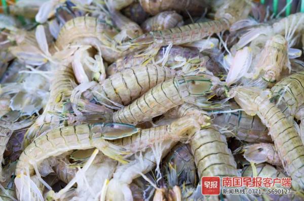 多图直击！广西开海第一波海鲜上岸，价格美丽有的直接腰斩