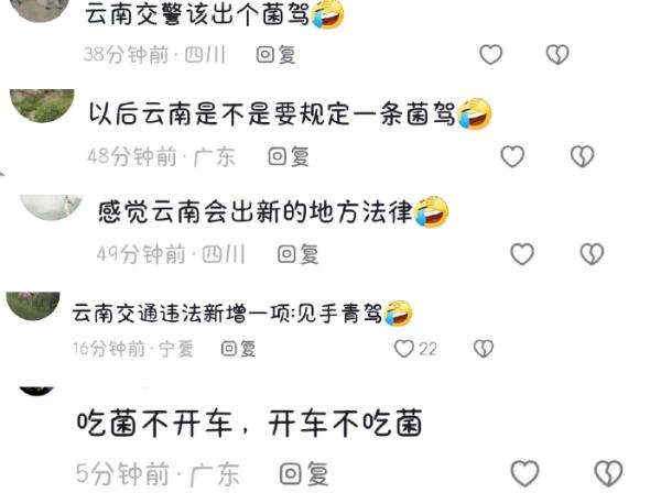 你“菌驾”了吗?吃菌子后驾驶车辆要注意什么? 你“菌驾”了吗?吃菌子后驾驶车辆要注意什么?