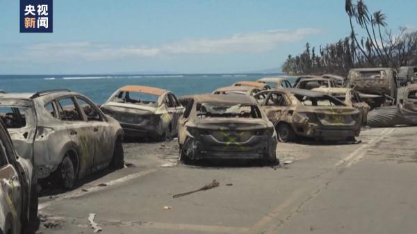 死亡人数升至106人 夏威夷毛伊岛大火何以至此? 死亡人数升至106人 夏威夷毛伊岛大火何以至此?