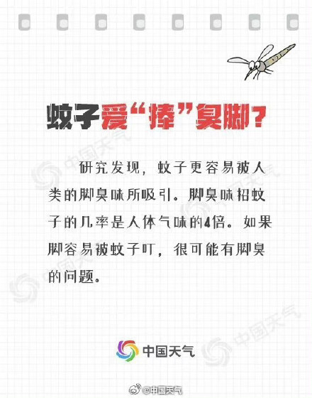 为什么被蚊子叮了会痒?关于蚊子的11个冷知识来啦 为什么被蚊子叮了会痒?关于蚊子的11个冷知识来啦