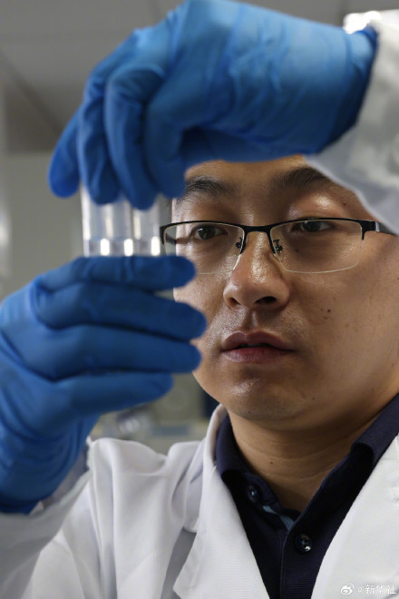 赞！我国科学家人工合成糖取得新突破