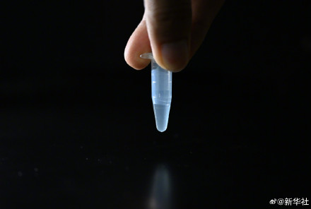 赞！我国科学家人工合成糖取得新突破