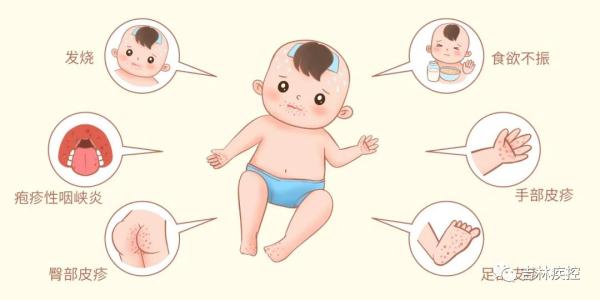 进入高发期!吉林疾控重要提醒 进入高发期!吉林疾控重要提醒